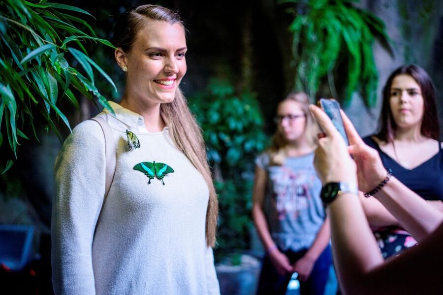 Prague: Papilonia Butterfly House - Take your time in the flight zone