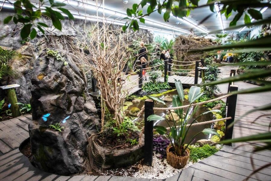Prague: Papilonia Butterfly House - What the visit feels like for children