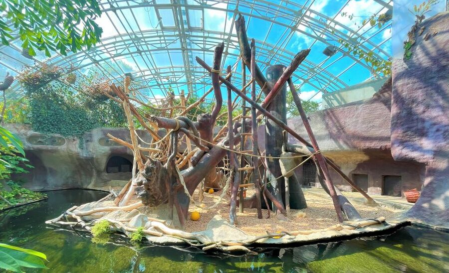 Prague: Prague Zoo Audio Guide with E-Ticket - How long you should allow