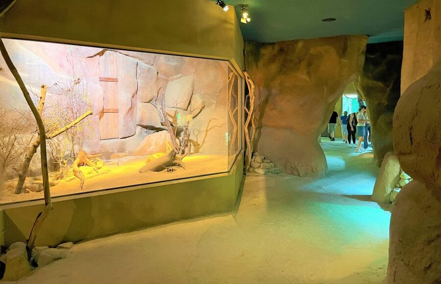 Prague: Prague Zoo Audio Guide with E-Ticket - Starting at the Troja entrance