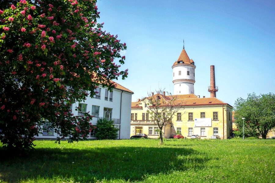 Prague: Psychiatric Hospital and Abandoned Cemetery Tour - Inside the 2.5-hour hospital tour