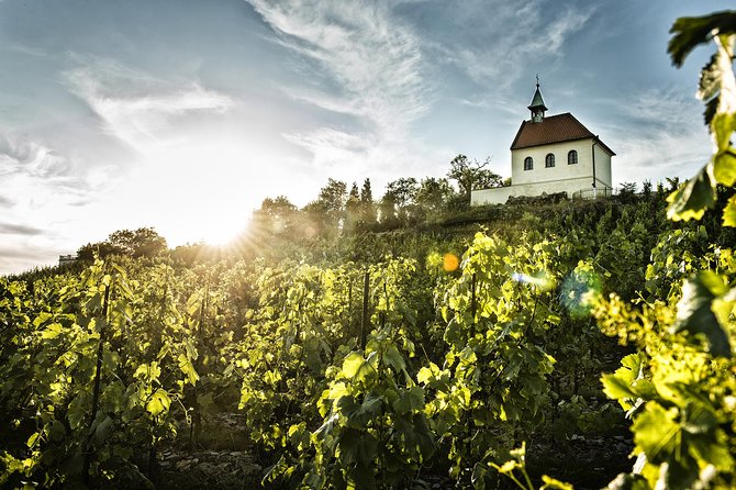 Prague´s Hidden Vineyards Private Tour - Is $240.66 per person good value?