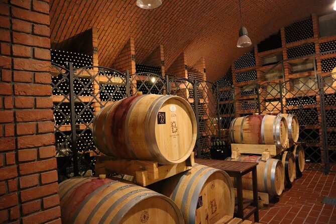 Prague´s Hidden Vineyards Private Tour - Who should book this Prague wine tour?