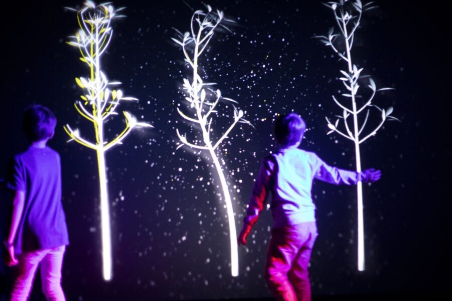 Prague: Ticket to Audiovisual Light Art at Lumia Gallery - Who will enjoy Lumia Gallery most?