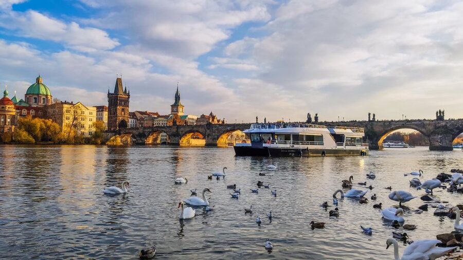 Prague: Vltava River Sightseeing Cruise - Charles Bridge from below