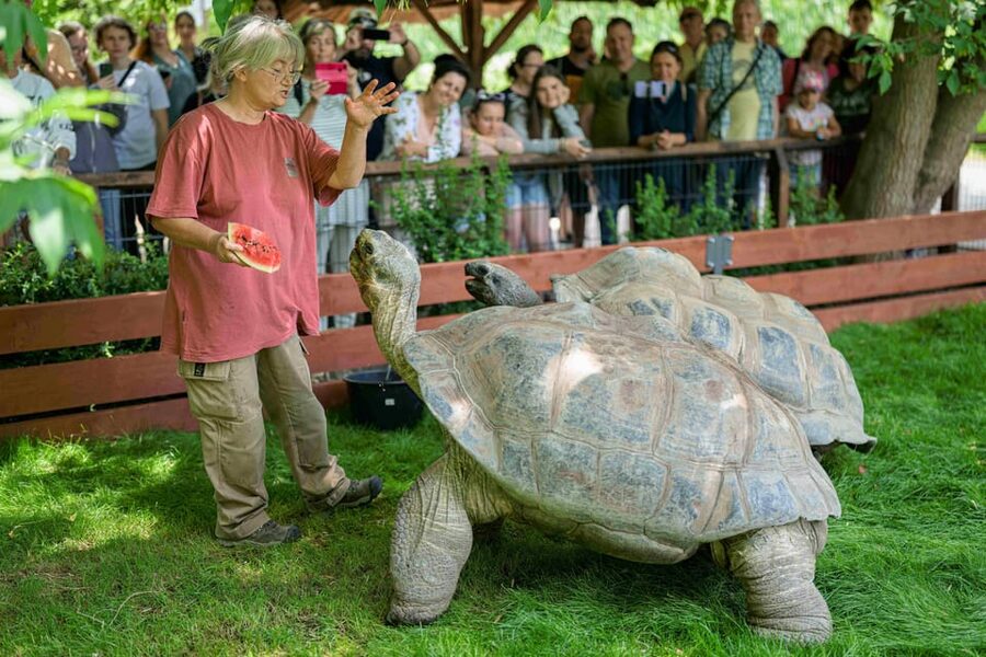 Prague Zoo: Skip-the-Line Entry Ticket - Key points to know before you go