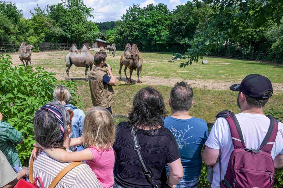 Prague Zoo: Skip-the-Line Entry Ticket - Is the $15 skip-the-line ticket worth booking?