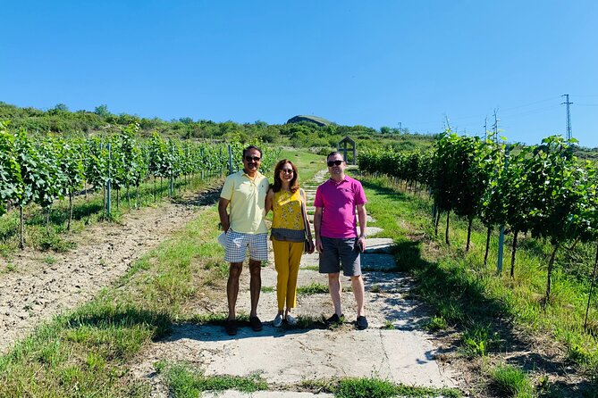 Private Bohemia Wine Tour from Prague with Gourmet Tastings - Why this Bohemia wine day works well from Prague