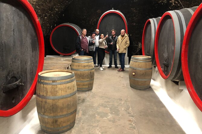 Private Bohemia Wine Tour from Prague with Gourmet Tastings - Velké Žernoseky’s old cellars and Czech lunch