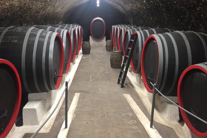 Private Bohemia Wine Tour from Prague with Gourmet Tastings - Třebívlice and the modern side of Czech wine