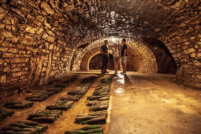 Private Bohemia Wine Tour from Prague with Gourmet Tastings - Žalhostice beneath Radobýl hill