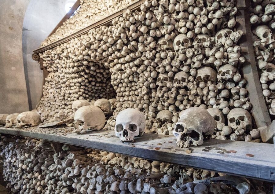 Private Guided Tour from Prague to UNESCO Kutna Hora - My call: book it for convenience and context