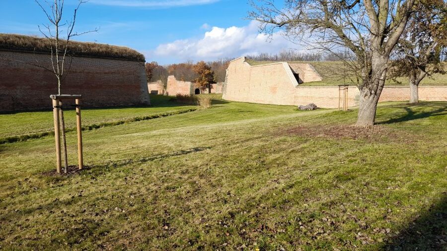 Private Half-Day Tour To Terezin Concentration Camp - The hidden synagogue and Magdeburg Barracks