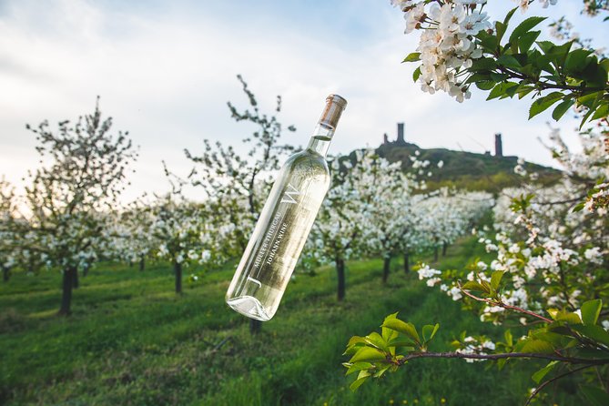 Private PICNIC in Bohemian Vineyards and Wine Tasting 4WD Tour - Key details at a glance