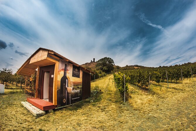 Private PICNIC in Bohemian Vineyards and Wine Tasting 4WD Tour - A picnic with a weather backup
