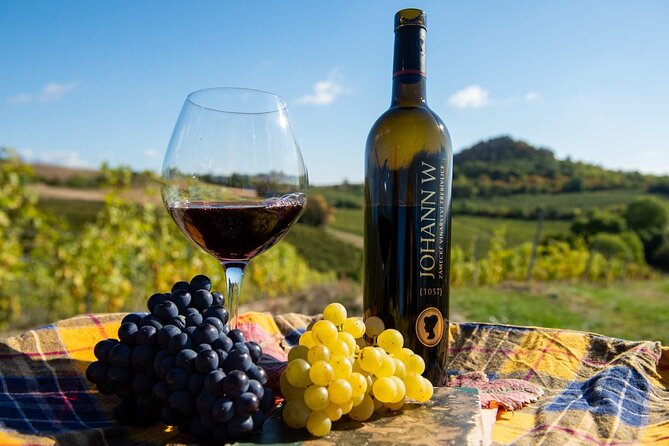 Private PICNIC in Bohemian Vineyards and Wine Tasting 4WD Tour - Leaving Prague by private 4WD