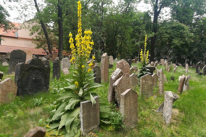 Private Stories of Jewish Prague Walking Tour - What the private price buys you