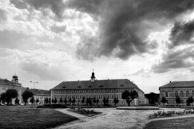 Private Terezin Nazi camp tour from Prague All-Inclusive - What the $270.36 price means