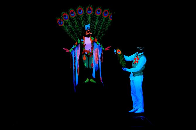Skip the Line: WOW Show Black Light Theater in Prague Ticket - Why families often get the most from it