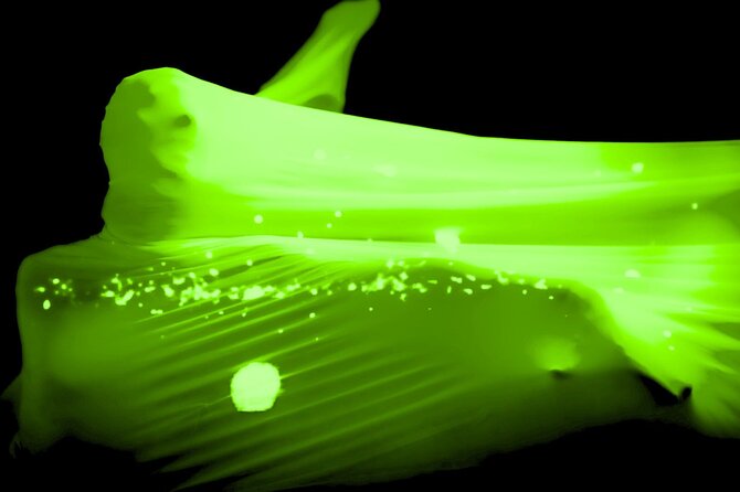 Underground Black Light Theatre Interactive Show in Prague - The unusual role of music in the performance