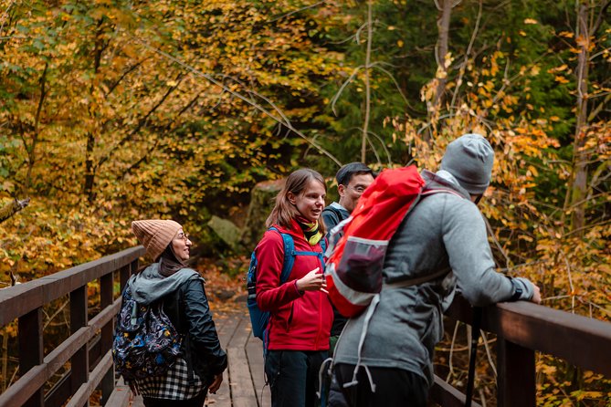 VIP Best Reviews: Bohemian & Saxon Switzerland from Prague - How difficult is the walking?