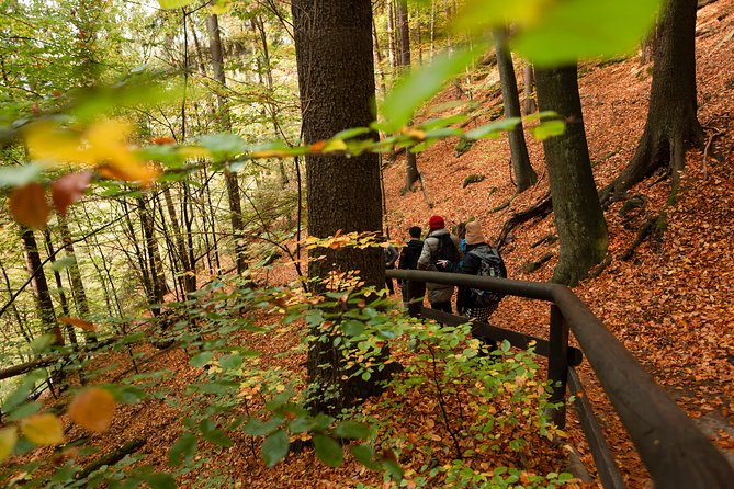 VIP Best Reviews: Bohemian & Saxon Switzerland from Prague - What the $149.01 price really covers